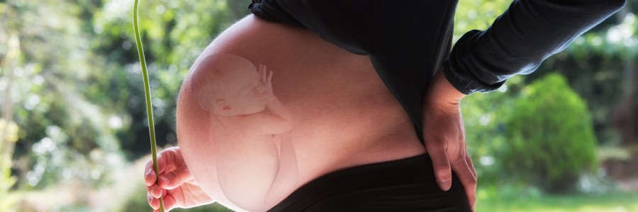 Baby In The Womb