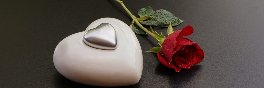 What I’ve Learned From my Husband’s Sudden Death